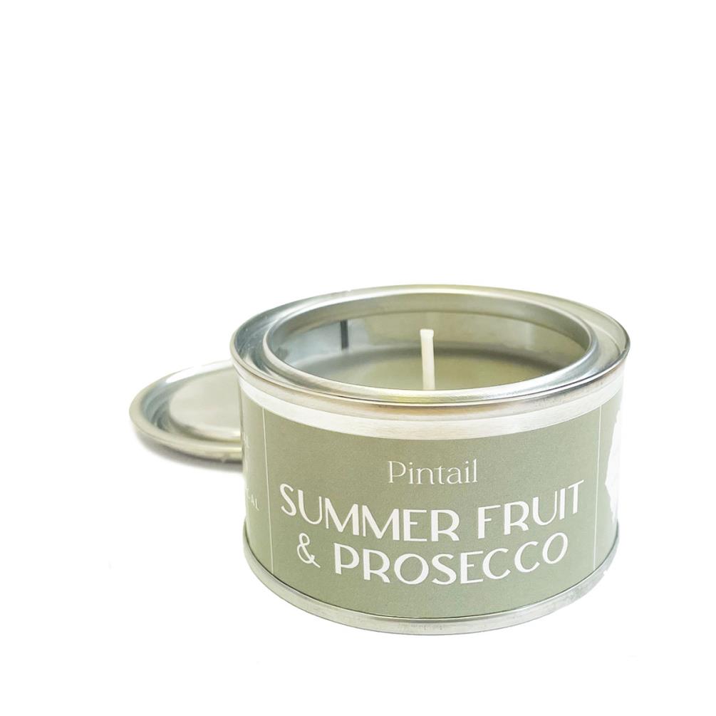 Pintail Candles Summer Fruit & Prosecco Paint Pot Candle £5.18
